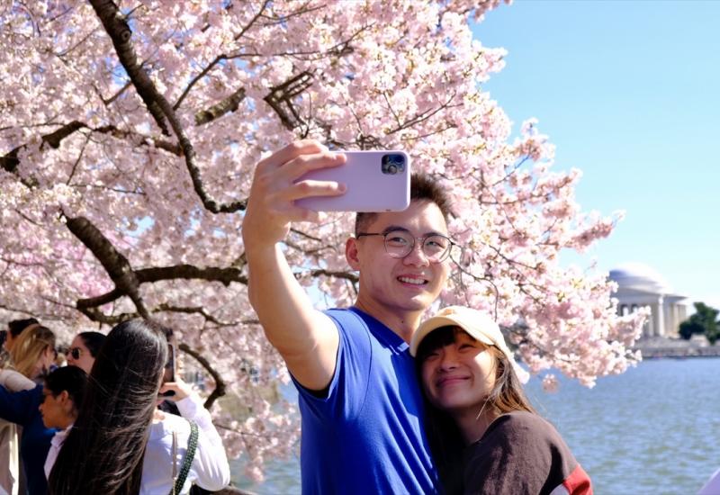 Nacionalni festival cvijeta trešnje - Kada trešnja postane atrakcija